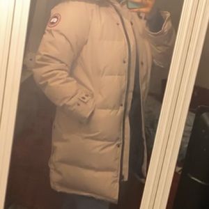 NEW REAL Canada Goose